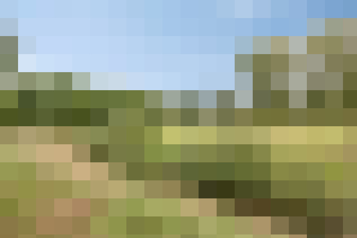 Image 36
