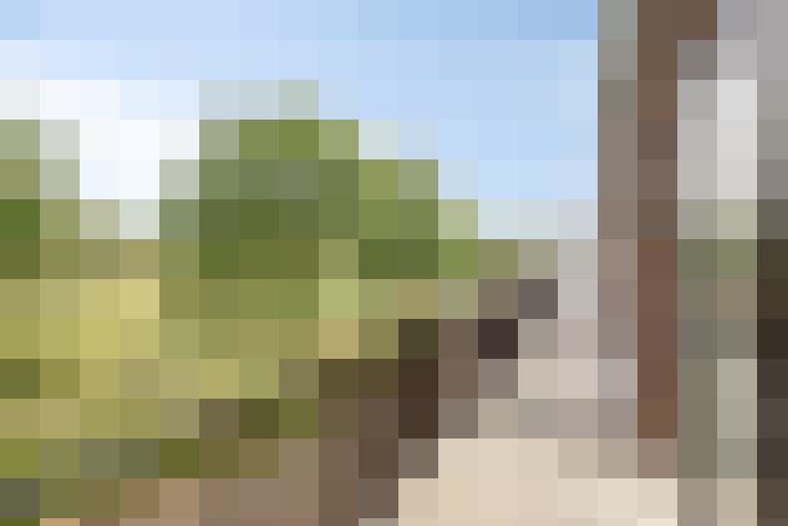 Image 18
