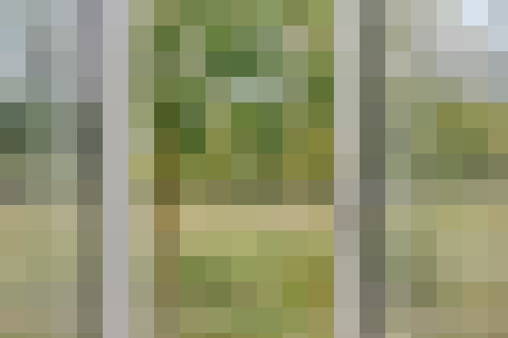 Image 17