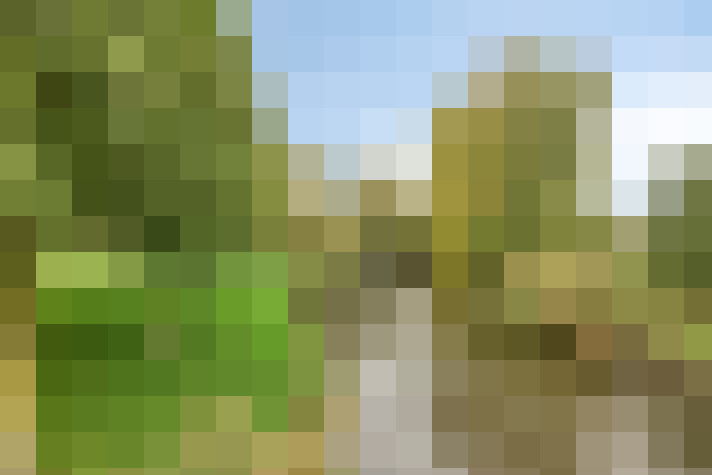 Image 34