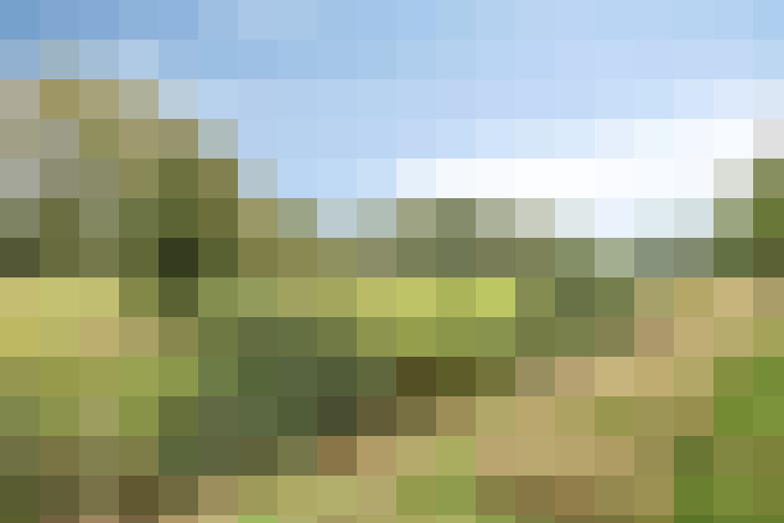 Image 33