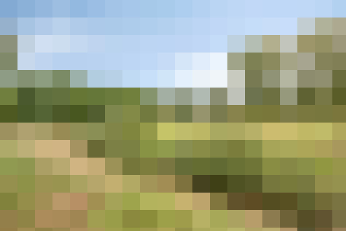 Image 32