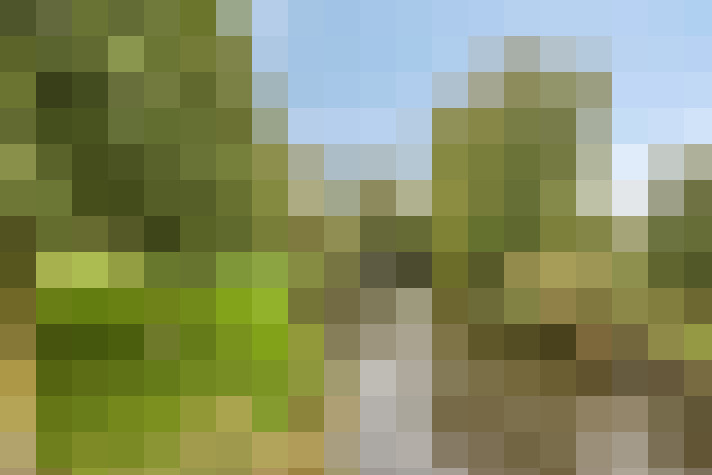 Image 32
