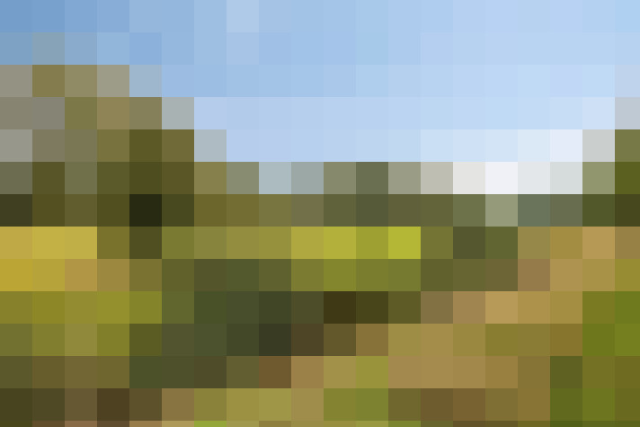 Image 31