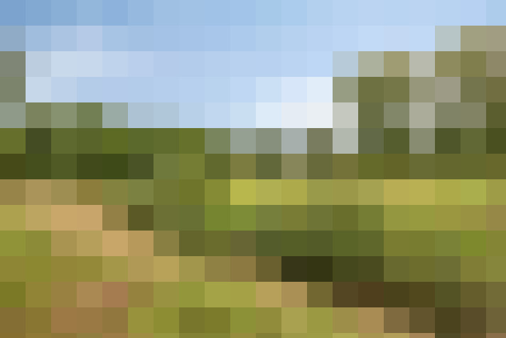 Image 30