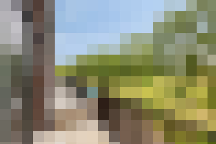 Image 17
