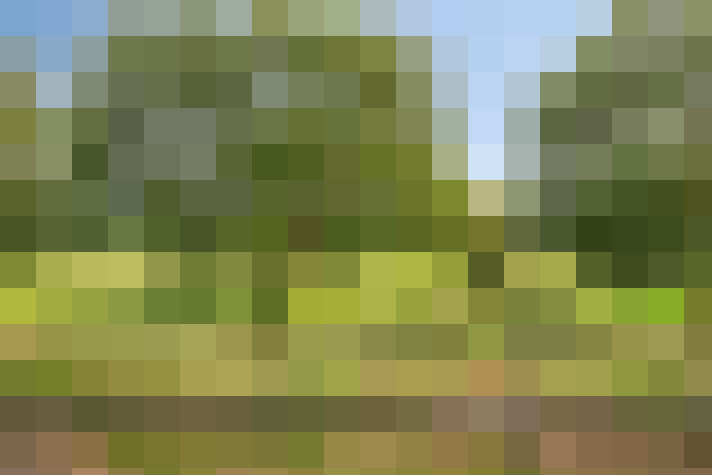Image 18