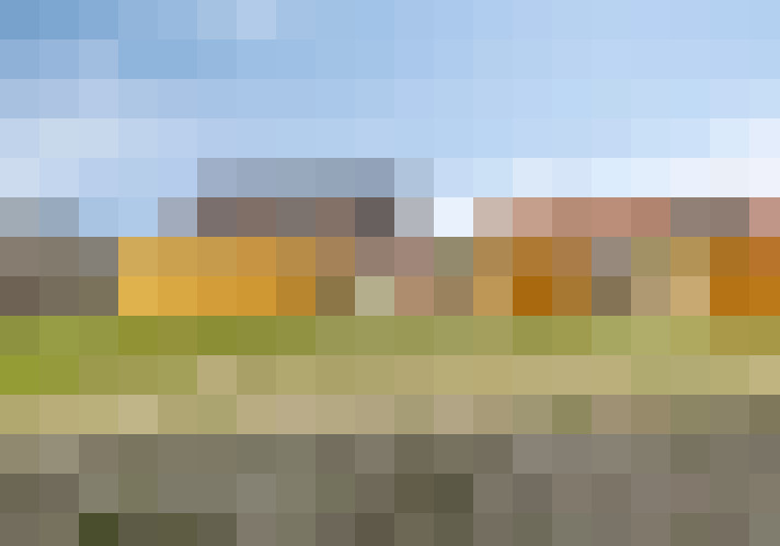 Image 17