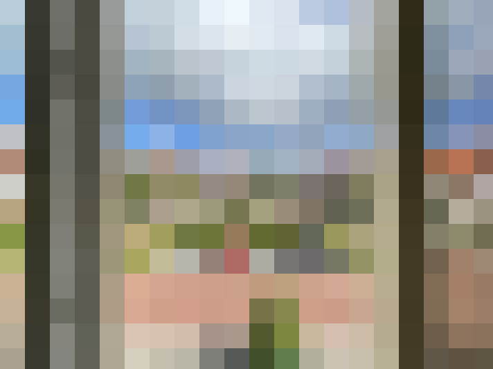 Image 20
