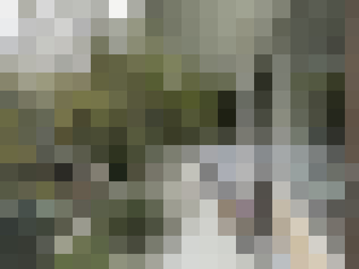 Image 15