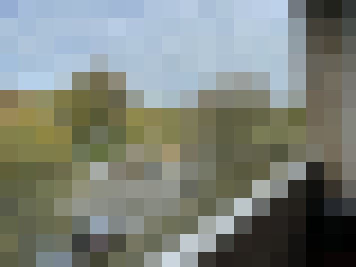 Image 16