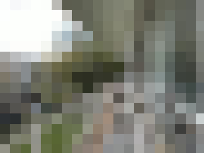 Image 15