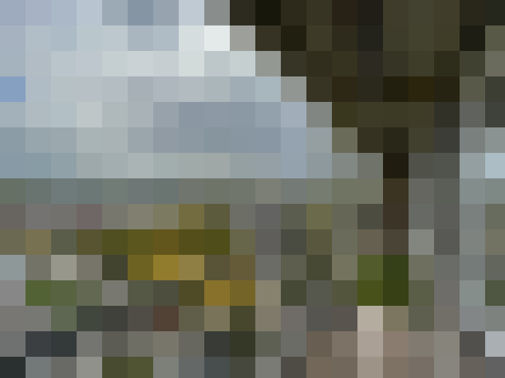 Image 15