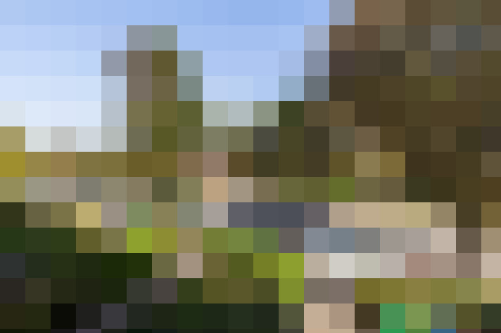 Image 26