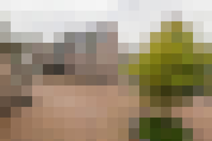 Image 29