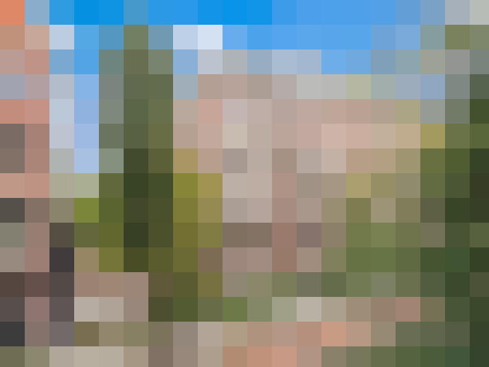 Image 21