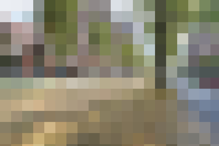 Image 20