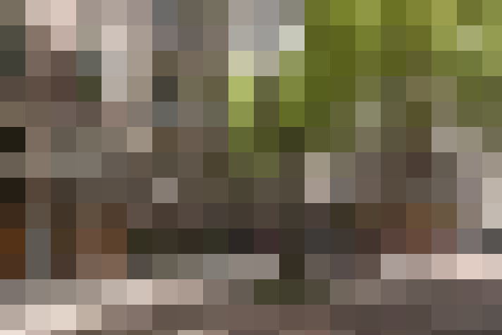 Image 24