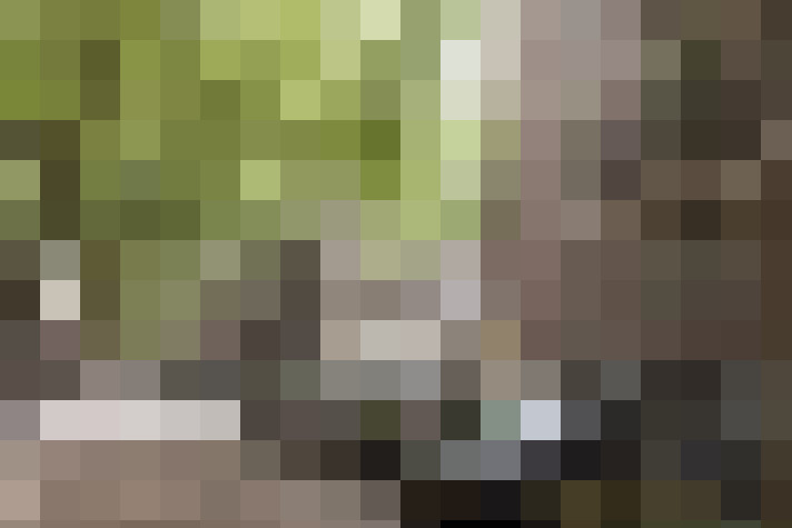 Image 27