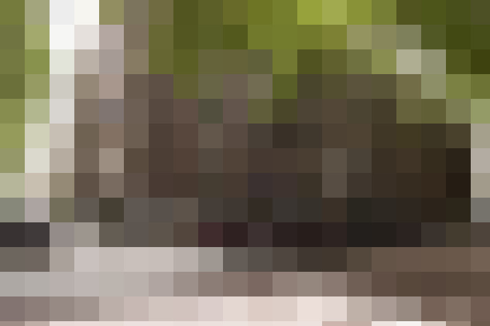 Image 26