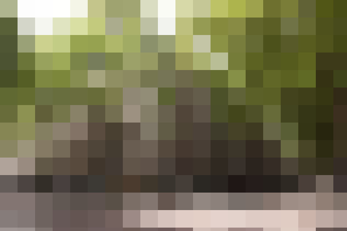 Image 23