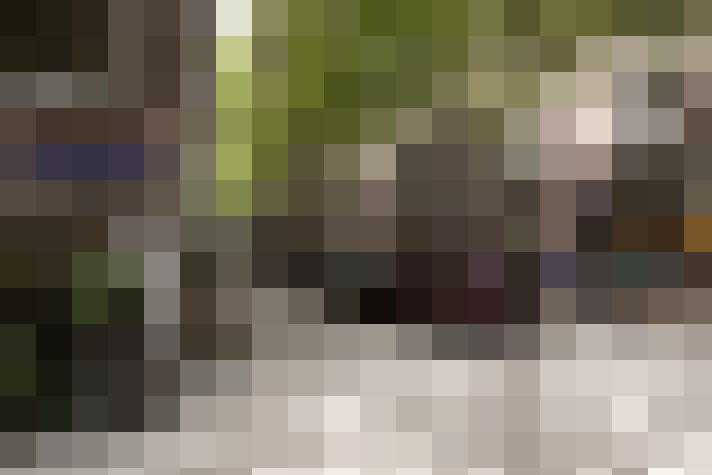 Image 22