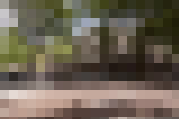Image 25