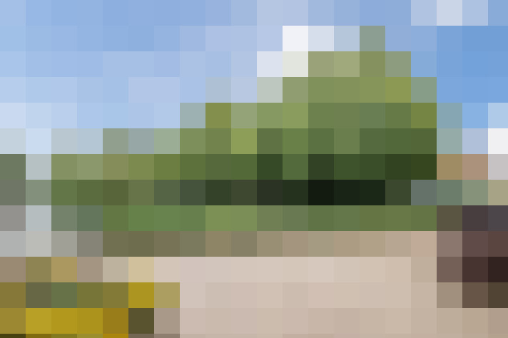 Image 24