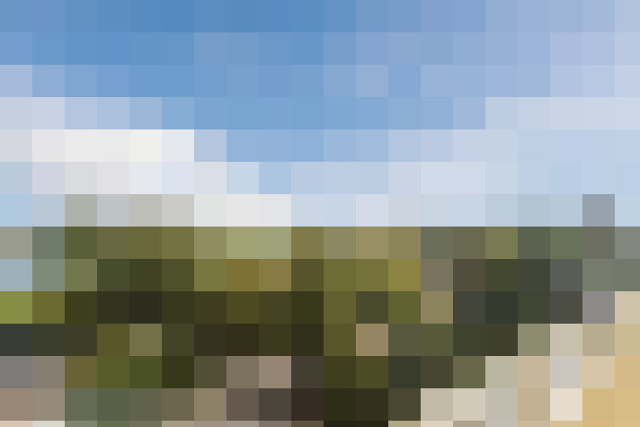Image 20
