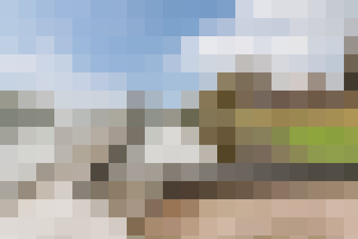 Image 23
