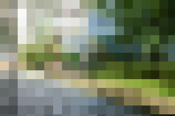 Image 13