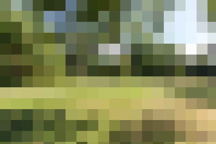 Image 17