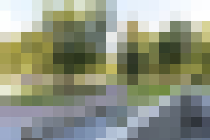 Image 16