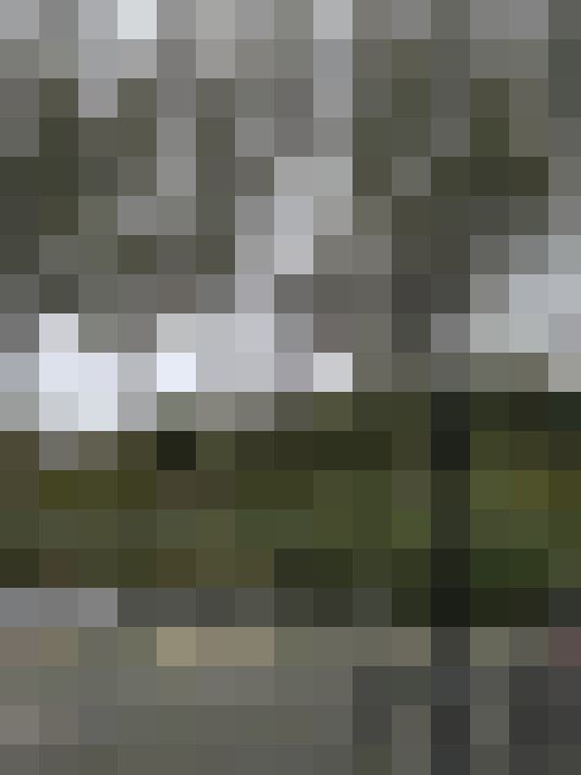 Image 23