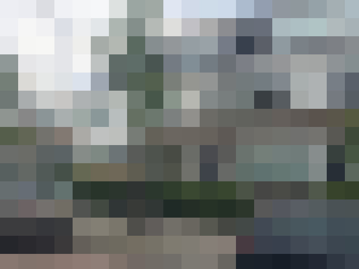 Image 21