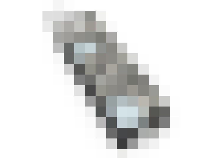 Image 29
