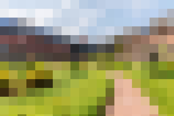 Image 20