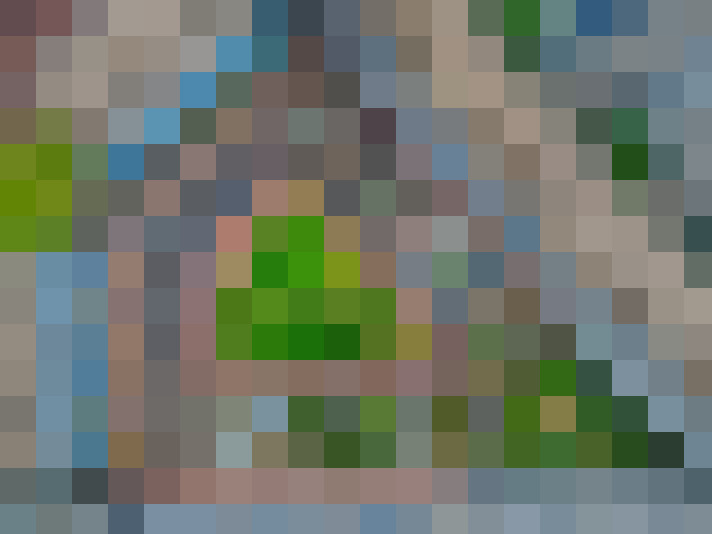 Image 22