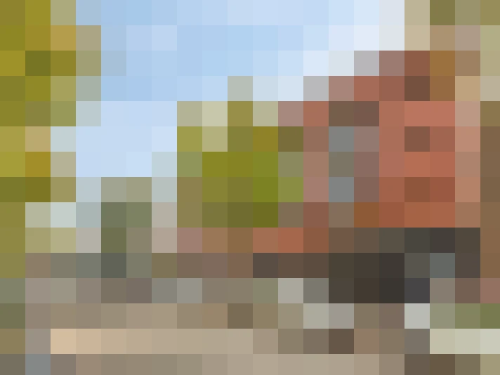 Image 25