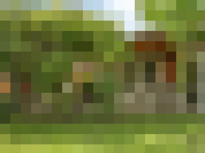 Image 20