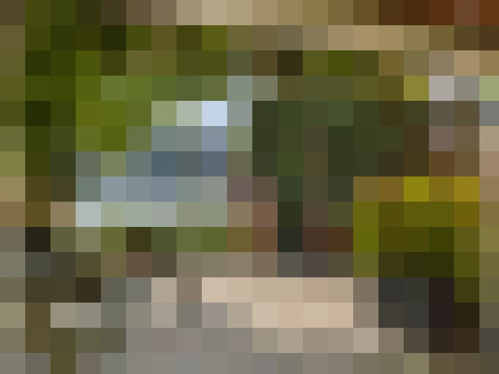 Image 19
