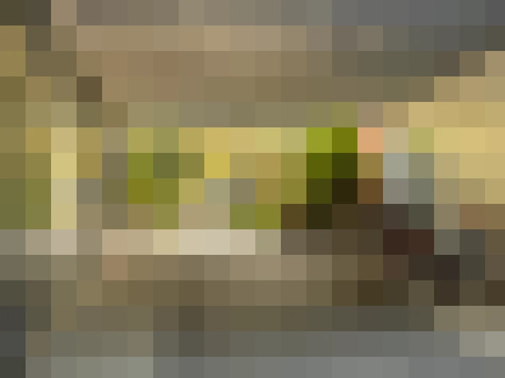 Image 32