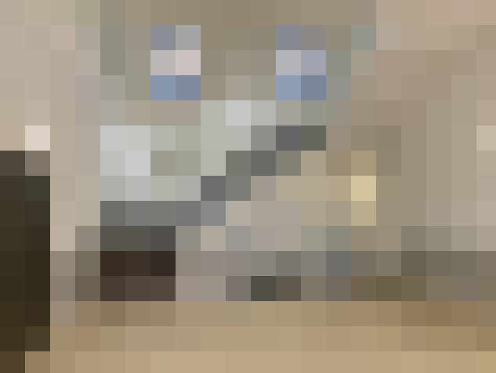 Image 19
