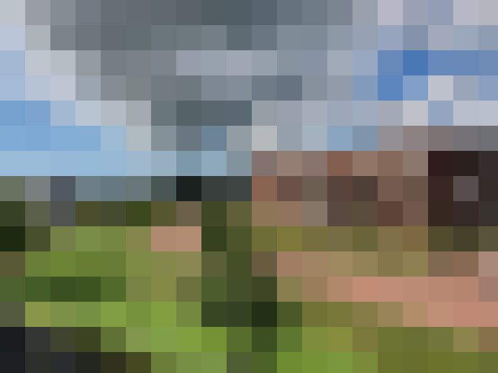 Image 20