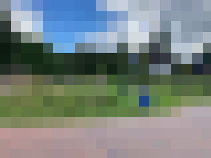 Image 23