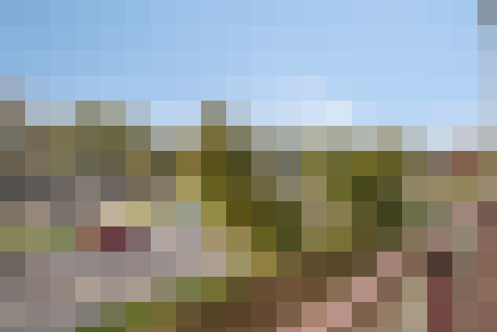Image 15