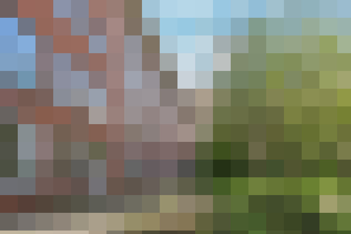Image 25