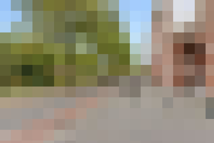 Image 33