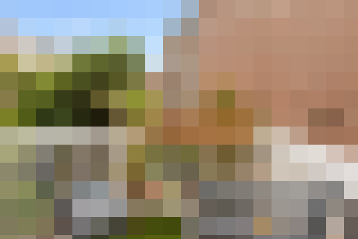 Image 31