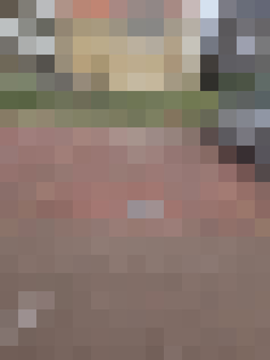 Image 17